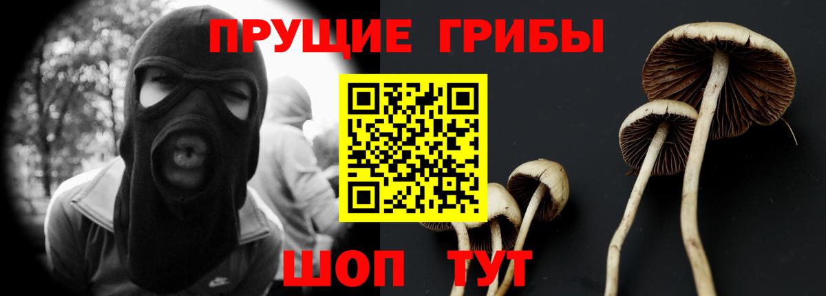 Галлюциногенные грибы Cubensis  Вход с VPN  Усть-Джегута 